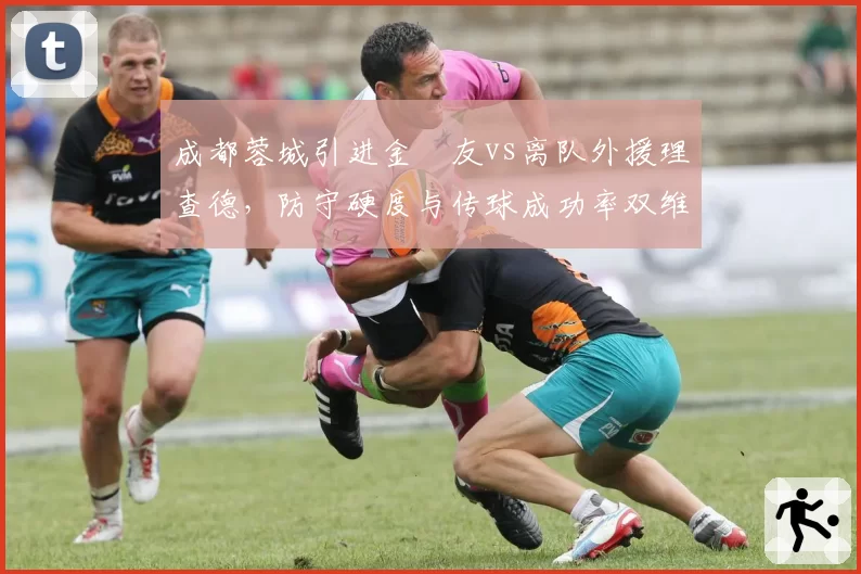 成都蓉城引进金敃友vs离队外援理查德，防守硬度与传球成功率双维度对比