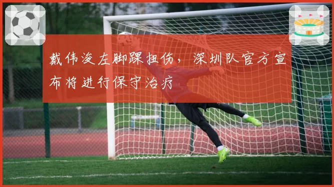 戴伟浚左脚踝扭伤,深圳队官方宣布将进行保守治疗