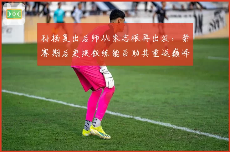 孙杨复出后师从朱志根再出发,禁赛期后更换教练能否助其重返巅峰?