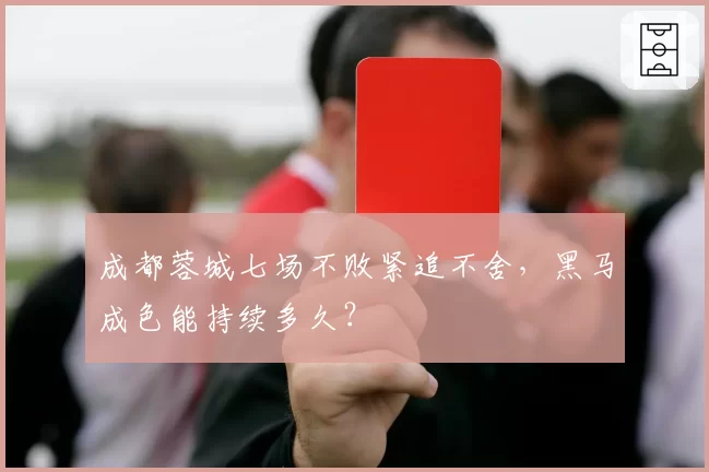 成都蓉城七场不败紧追不舍,黑马成色能持续多久?